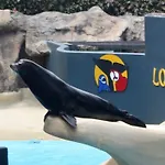 Apartamento Mit Beheiztem Pool By Interhome *